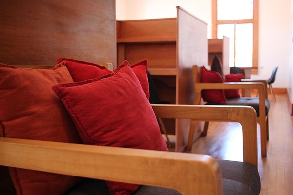 Coussins orthopédiques : votre allié pour un confort optimal